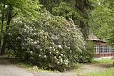 tannenfeld-sommer 2012-017